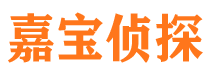 丰城侦探公司